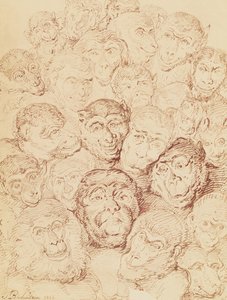 Monkey Faces by Thomas Rowlandson